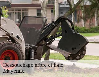 Dessouchage arbre et haie Mayenne 