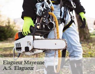 Elagueur 53 Mayenne  A.S. Elagueur