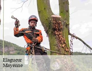 Elagueur Mayenne