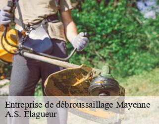 Entreprise de débroussaillage 53 Mayenne  A.S. Elagueur