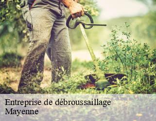 Entreprise de débroussaillage Mayenne