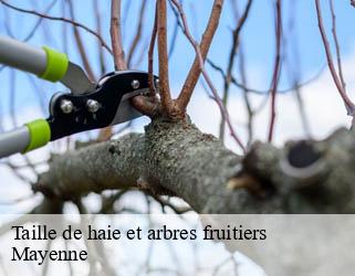 Taille de haie et arbres fruitiers Mayenne 