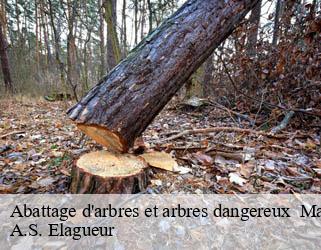 Abattage d'arbres et arbres dangereux  53 Mayenne  A.S. Elagueur