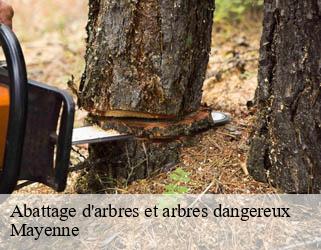Abattage d'arbres et arbres dangereux  Mayenne 