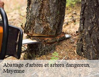 Abattage d'arbres et arbres dangereux Mayenne