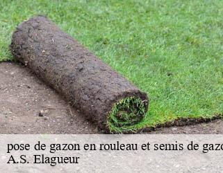 pose de gazon en rouleau et semis de gazon 53 Mayenne  A.S. Elagueur