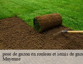 pose de gazon en rouleau et semis de gazon Mayenne 