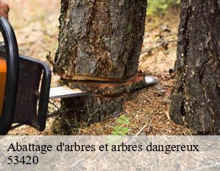 Abattage d'arbres et arbres dangereux   53420