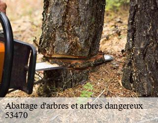 Abattage d'arbres et arbres dangereux 53470