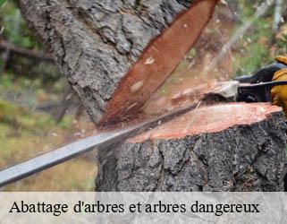 Abattage d'arbres et arbres dangereux
