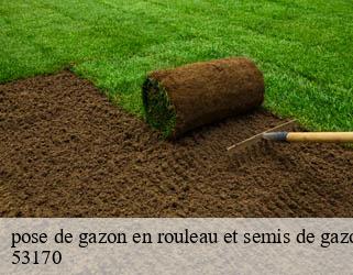 pose de gazon en rouleau et semis de gazon 53170