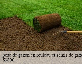 pose de gazon en rouleau et semis de gazon 53800