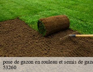 pose de gazon en rouleau et semis de gazon 53260