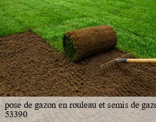pose de gazon en rouleau et semis de gazon 53390