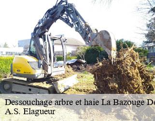 Dessouchage arbre et haie la-bazouge-de-chemere-53170 A.S. Elagueur