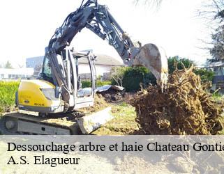 Dessouchage arbre et haie chateau-gontier-53200 A.S. Elagueur