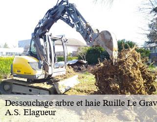 Dessouchage arbre et haie ruille-le-gravelais-53320 A.S. Elagueur