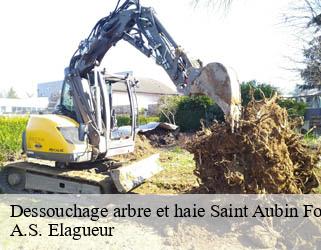 Dessouchage arbre et haie saint-aubin-fosse-louvain-53120 A.S. Elagueur