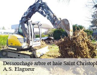 Dessouchage arbre et haie saint-christophe-du-luat-53150 A.S. Elagueur