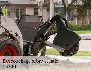 Dessouchage arbre et haie 53300