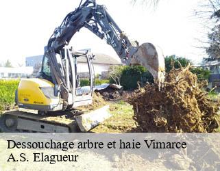 Dessouchage arbre et haie vimarce-53160 A.S. Elagueur