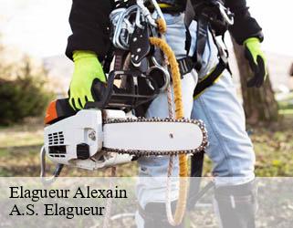 Elagueur  alexain-53240 A.S. Elagueur