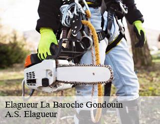 Elagueur  la-baroche-gondouin-53110 A.S. Elagueur