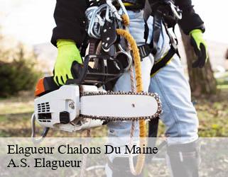 Elagueur  chalons-du-maine-53470 A.S. Elagueur