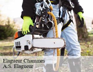 Elagueur  chammes-53270 A.S. Elagueur