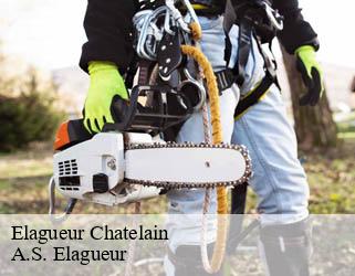 Elagueur chatelain-53200 A.S. Elagueur
