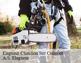 Elagueur  chatillon-sur-colmont-53100 A.S. Elagueur