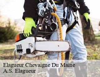 Elagueur  chevaigne-du-maine-53250 A.S. Elagueur