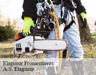 Elagueur  fromentieres-53200 A.S. Elagueur