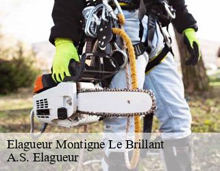 Elagueur  montigne-le-brillant-53970 A.S. Elagueur