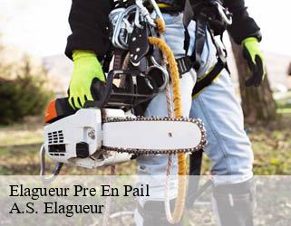 Elagueur  pre-en-pail-53140 A.S. Elagueur