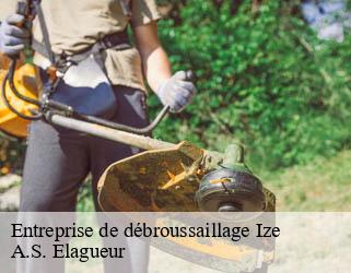 Entreprise de débroussaillage ize-53160 A.S. Elagueur