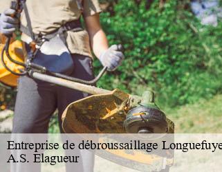 Entreprise de débroussaillage longuefuye-53200 A.S. Elagueur
