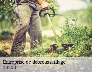 Entreprise de débroussaillage 53200