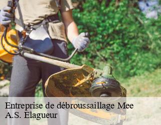 Entreprise de débroussaillage mee-53400 A.S. Elagueur