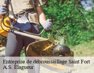 Entreprise de débroussaillage saint-fort-53200 A.S. Elagueur