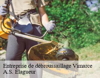 Entreprise de débroussaillage vimarce-53160 A.S. Elagueur