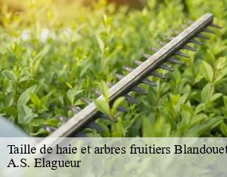 Taille de haie et arbres fruitiers  blandouet-53270 A.S. Elagueur