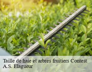Taille de haie et arbres fruitiers contest-53100 A.S. Elagueur