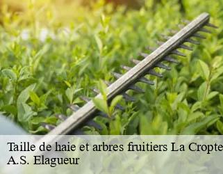 Taille de haie et arbres fruitiers la-cropte-53170 A.S. Elagueur