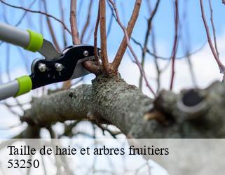 Taille de haie et arbres fruitiers  53250