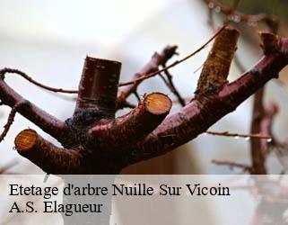 Etetage d'arbre nuille-sur-vicoin-53970 A.S. Elagueur