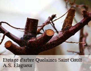 Etetage d'arbre  quelaines-saint-gault-53360 A.S. Elagueur