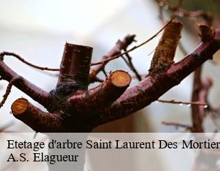 Etetage d'arbre saint-laurent-des-mortiers-53290 A.S. Elagueur
